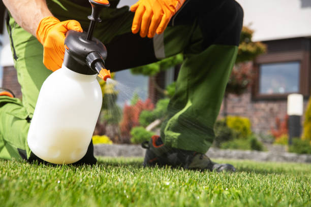 Flea Control Services in Indian River, MI