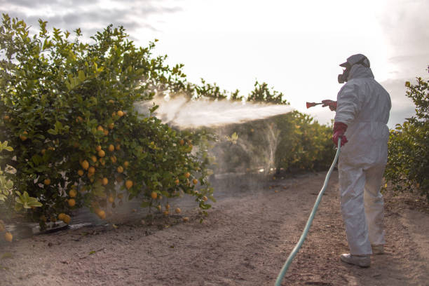 Best Emergency Pest Control  in Indian River, MI