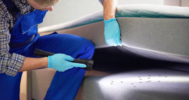 Best Local Pest Control Services  in Indian River, MI