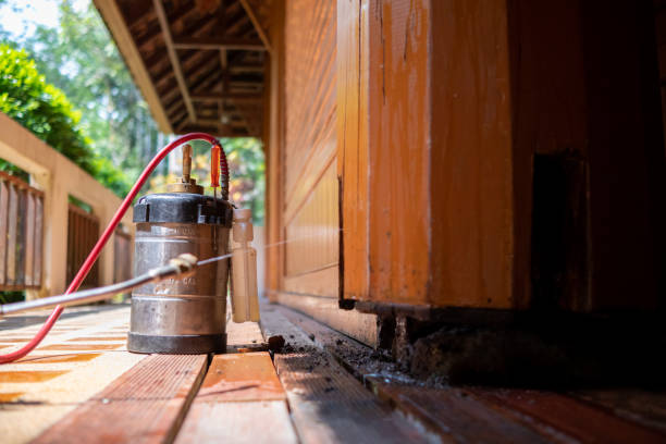 Best Commercial Pest Control Services  in Indian River, MI