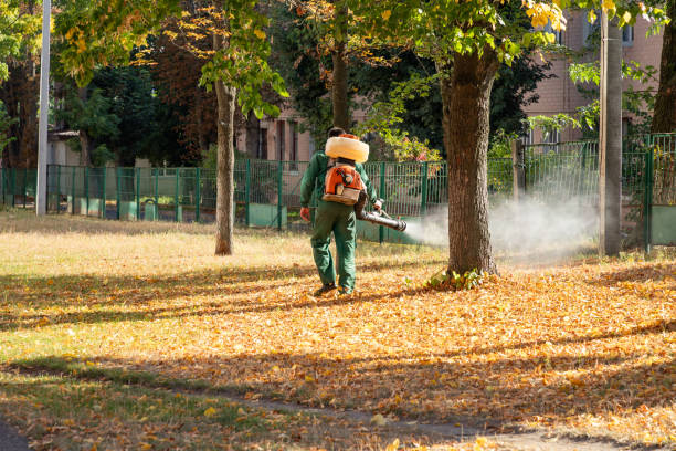 Wasp Removal Services in Indian River, MI