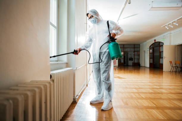 Best Pest Control Treatment  in Indian River, MI