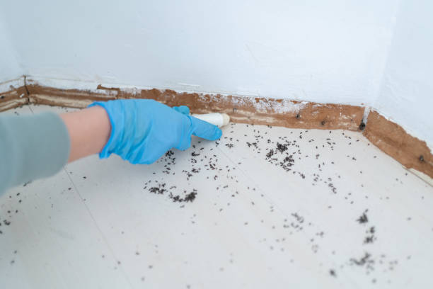 Pest Control Cost in Indian River, MI