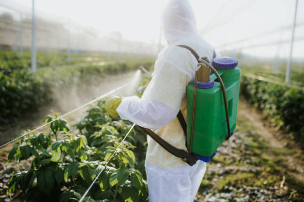 Best Pest Inspection Near Me  in Indian River, MI
